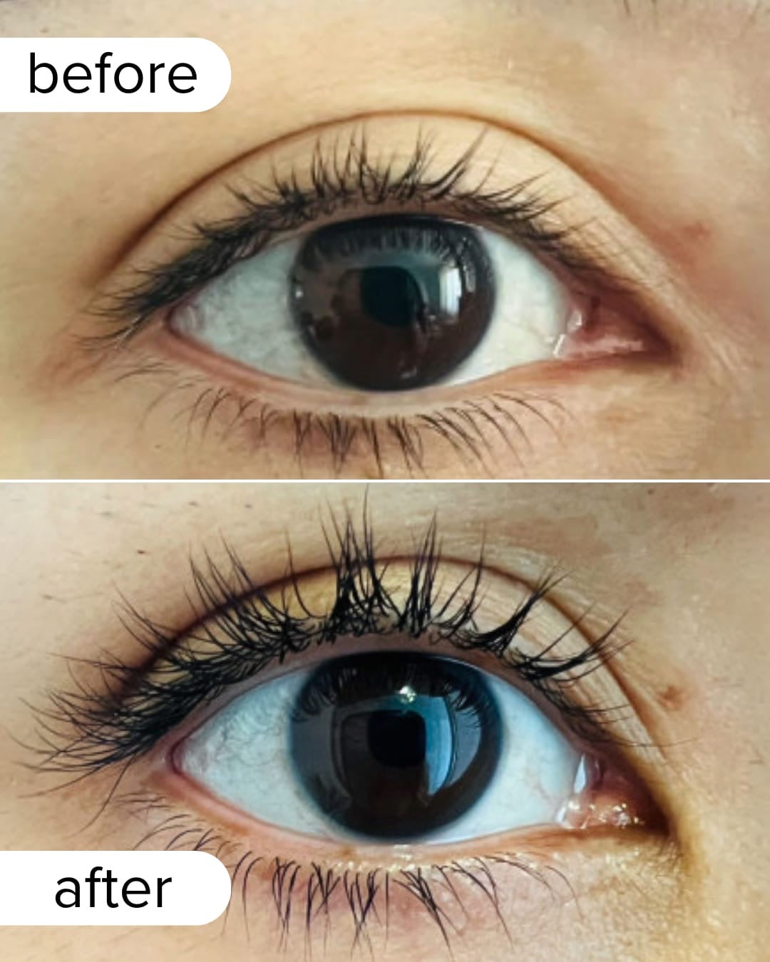 Wimpernserum 3 ml  Duo Pack 2x
